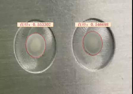 振子蘑菇头的缺陷(图3) 振子蘑菇头的缺陷(图3)