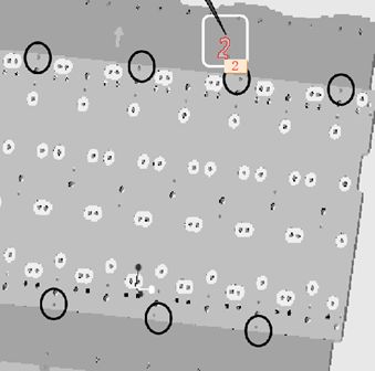振子蘑菇头的缺陷(图5) 振子蘑菇头的缺陷(图5)